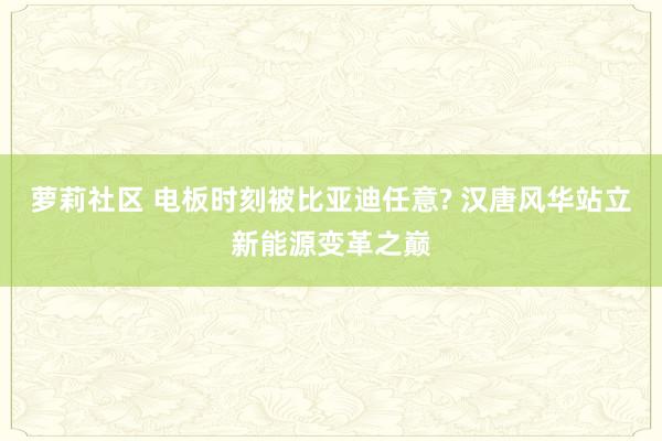 萝莉社区 电板时刻被比亚迪任意? 汉唐风华站立新能源变革之巅