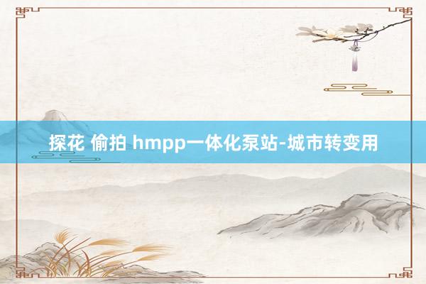 探花 偷拍 hmpp一体化泵站-城市转变用