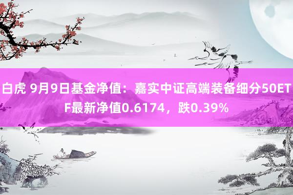 白虎 9月9日基金净值：嘉实中证高端装备细分50ETF最新净值0.6174，跌0.39%