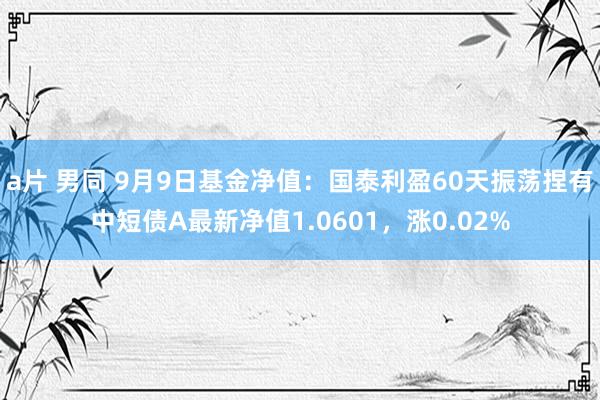 a片 男同 9月9日基金净值：国泰利盈60天振荡捏有中短债A最新净值1.0601，涨0.02%