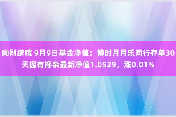 呦剐蹭哦 9月9日基金净值：博时月月乐同行存单30天握有搀杂最新净值1.0529，涨0.01%