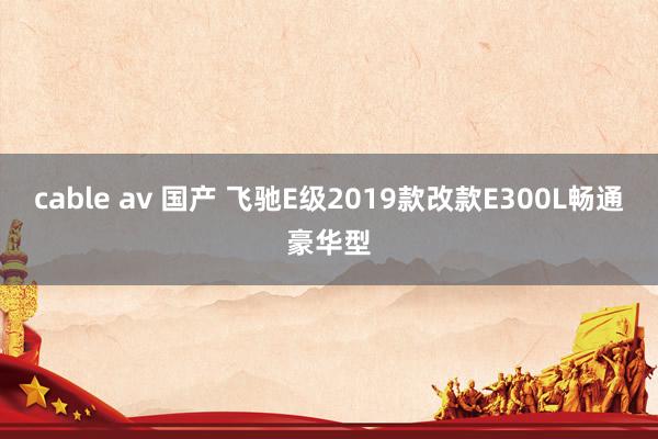 cable av 国产 飞驰E级2019款改款E300L畅通豪华型