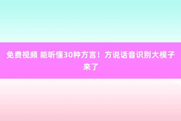 免费视频 能听懂30种方言！方说话音识别大模子来了