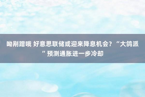 呦剐蹭哦 好意思联储或迎来降息机会？“大鸽派”预测通胀进一步冷却