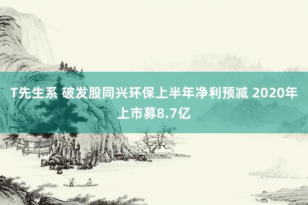 T先生系 破发股同兴环保上半年净利预减 2020年上市募8.7亿