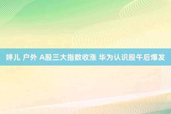 婷儿 户外 A股三大指数收涨 华为认识股午后爆发