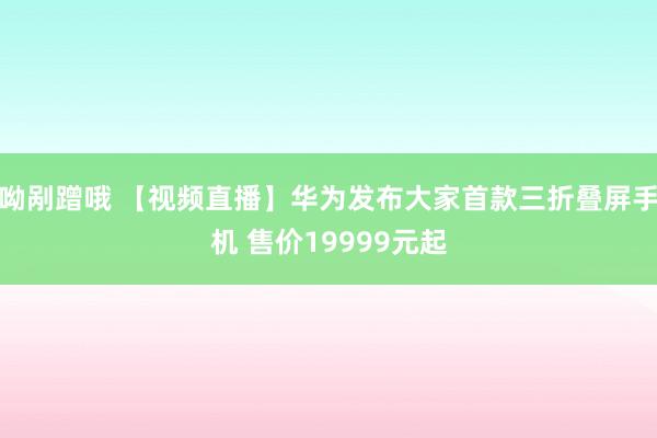 呦剐蹭哦 【视频直播】华为发布大家首款三折叠屏手机 售价19999元起