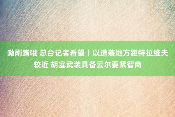 呦剐蹭哦 总台记者看望丨以遭袭地方距特拉维夫较近 胡塞武装具备云尔要紧智商