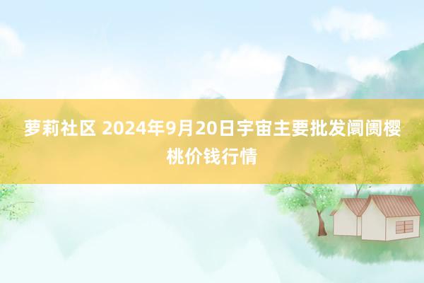 萝莉社区 2024年9月20日宇宙主要批发阛阓樱桃价钱行情