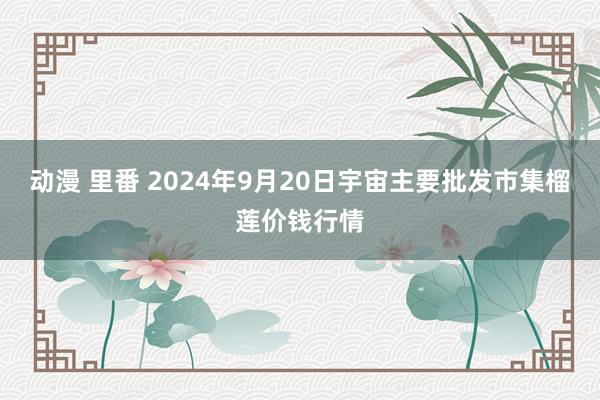 动漫 里番 2024年9月20日宇宙主要批发市集榴莲价钱行情