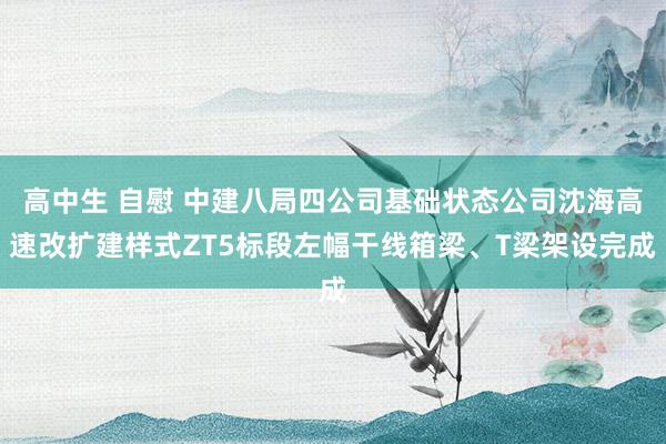 高中生 自慰 中建八局四公司基础状态公司沈海高速改扩建样式ZT5标段左幅干线箱梁、T梁架设完成