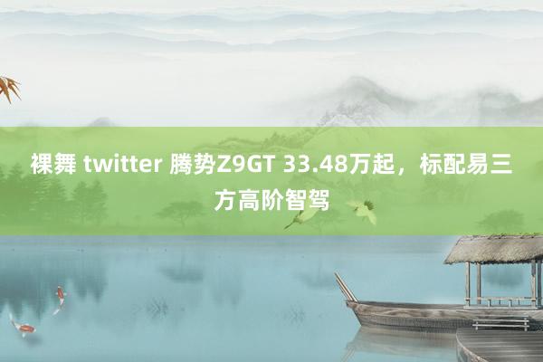 裸舞 twitter 腾势Z9GT 33.48万起，标配易三方高阶智驾