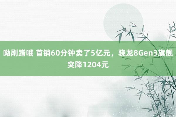 呦剐蹭哦 首销60分钟卖了5亿元，骁龙8Gen3旗舰突降1204元