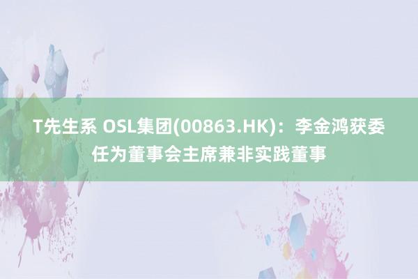 T先生系 OSL集团(00863.HK)：李金鸿获委任为董事会主席兼非实践董事