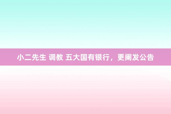 小二先生 调教 五大国有银行，更阑发公告