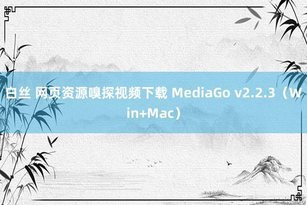 白丝 网页资源嗅探视频下载 MediaGo v2.2.3（Win+Mac）