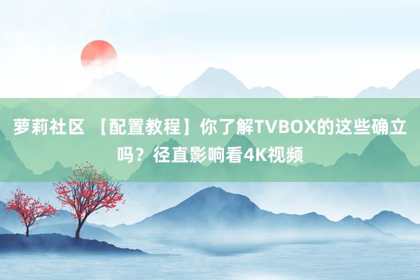 萝莉社区 【配置教程】你了解TVBOX的这些确立吗？径直影响看4K视频