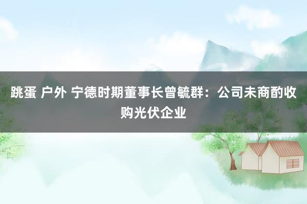 跳蛋 户外 宁德时期董事长曾毓群：公司未商酌收购光伏企业