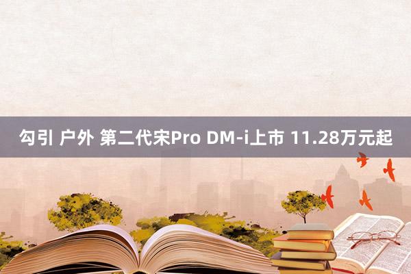 勾引 户外 第二代宋Pro DM-i上市 11.28万元起