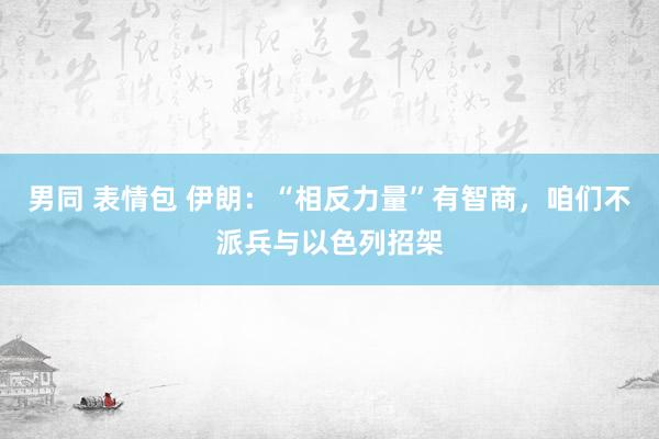 男同 表情包 伊朗：“相反力量”有智商，咱们不派兵与以色列招架