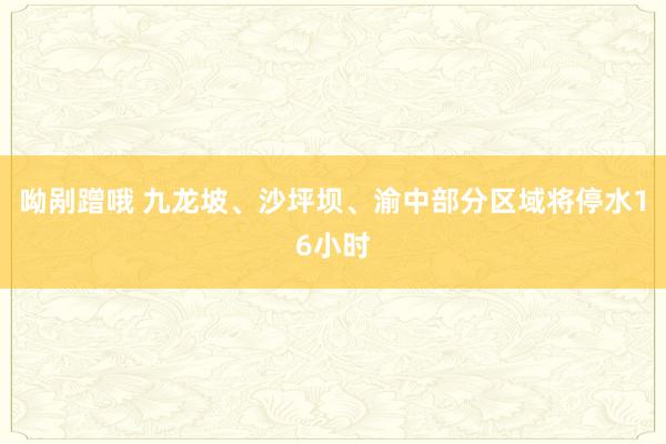 呦剐蹭哦 九龙坡、沙坪坝、渝中部分区域将停水16小时