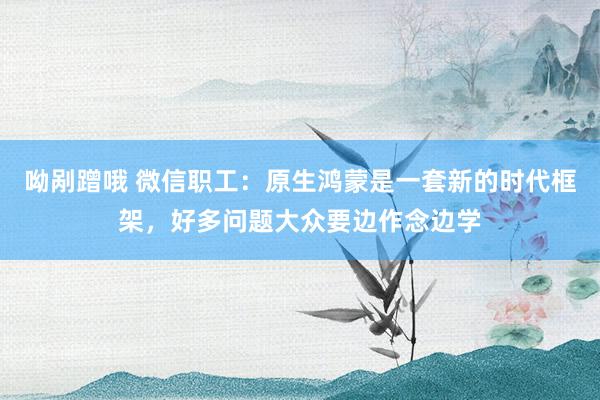 呦剐蹭哦 微信职工：原生鸿蒙是一套新的时代框架，好多问题大众要边作念边学