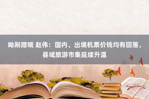 呦剐蹭哦 赵伟：国内、出境机票价钱均有回落，县域旅游市集延续升温