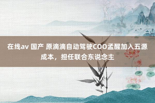 在线av 国产 原滴滴自动驾驶COO孟醒加入五源成本，担任联合东说念主