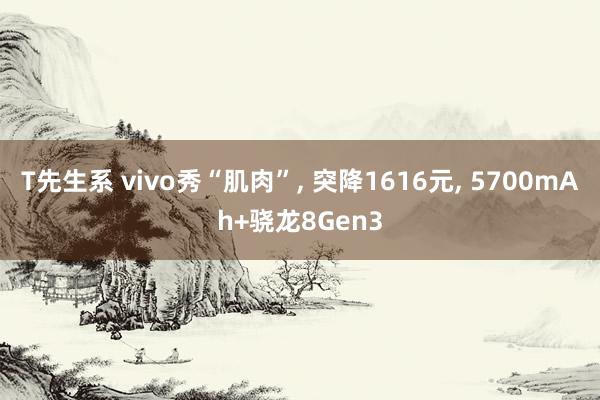 T先生系 vivo秀“肌肉”， 突降1616元， 5700mAh+骁龙8Gen3