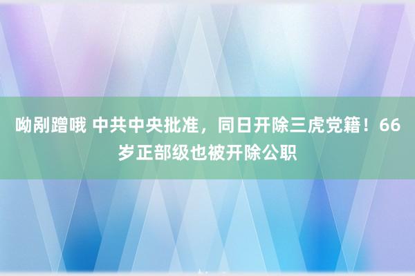 呦剐蹭哦 中共中央批准，同日开除三虎党籍！66岁正部级也被开除公职