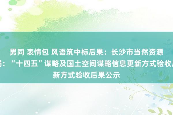 男同 表情包 风语筑中标后果：长沙市当然资源和谋略局：“十四五”谋略及国土空间谋略信息更新方式验收后果公示