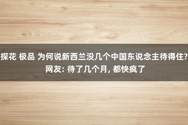 探花 极品 为何说新西兰没几个中国东说念主待得住? 网友: 待了几个月， 都快疯了