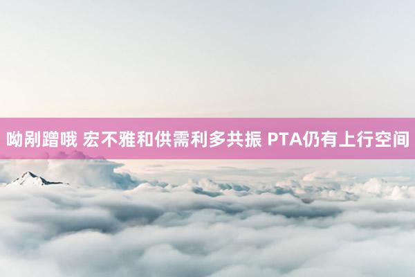 呦剐蹭哦 宏不雅和供需利多共振 PTA仍有上行空间