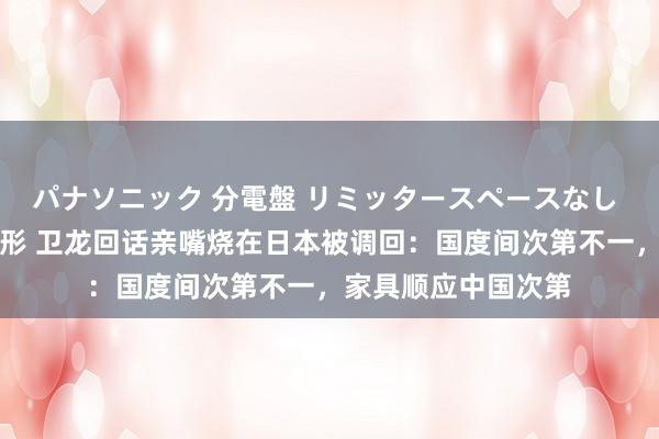 パナソニック 分電盤 リミッタースペースなし 露出・半埋込両用形 卫龙回话亲嘴烧在日本被调回：国度间次第不一，家具顺应中国次第