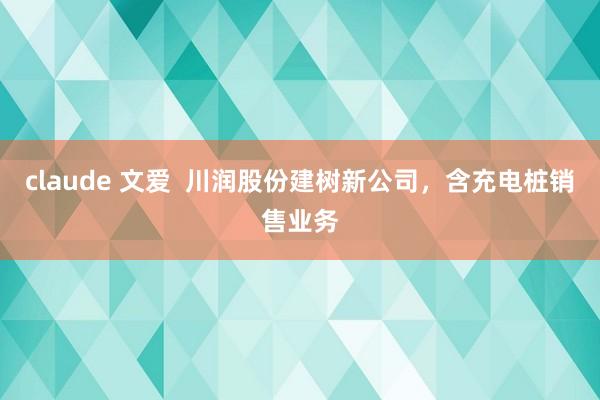 claude 文爱  川润股份建树新公司，含充电桩销售业务