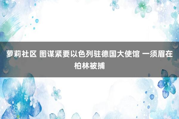 萝莉社区 图谋紧要以色列驻德国大使馆 一须眉在柏林被捕