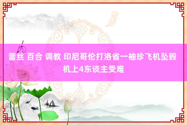 蕾丝 百合 调教 印尼哥伦打洛省一袖珍飞机坠毁 机上4东谈主受难