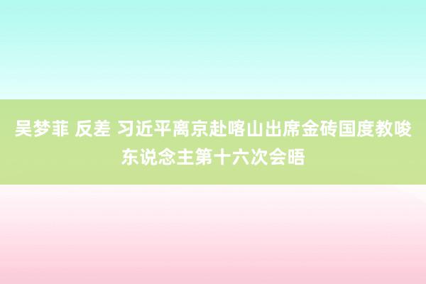 吴梦菲 反差 习近平离京赴喀山出席金砖国度教唆东说念主第十六次会晤