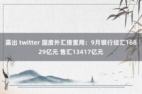 露出 twitter 国度外汇措置局：9月银行结汇16829亿元 售汇13417亿元