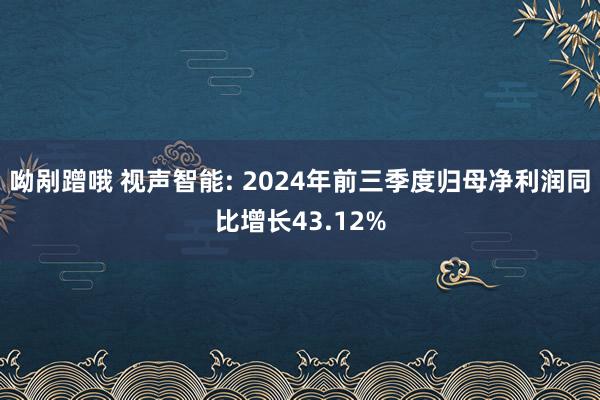 呦剐蹭哦 视声智能: 2024年前三季度归母净利润同比增长43.12%