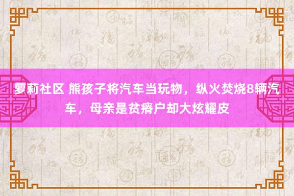 萝莉社区 熊孩子将汽车当玩物，纵火焚烧8辆汽车，母亲是贫瘠户却大炫耀皮