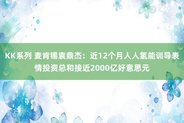 KK系列 麦肯锡袁鼎杰：近12个月人人氢能训导表情投资总和接近2000亿好意思元