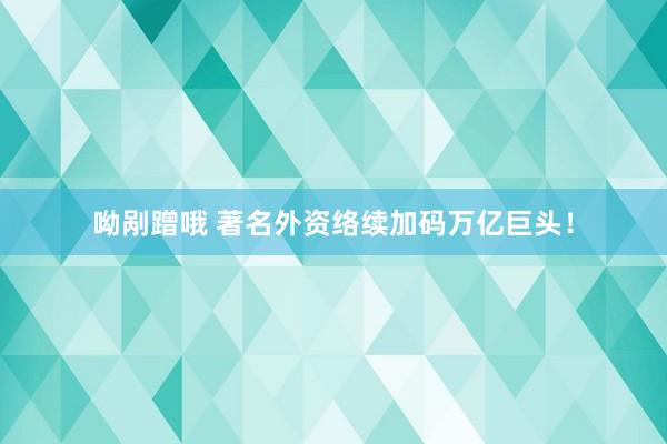 呦剐蹭哦 著名外资络续加码万亿巨头！