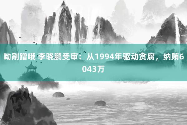 呦剐蹭哦 李晓鹏受审：从1994年驱动贪腐，纳贿6043万