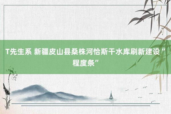 T先生系 新疆皮山县桑株河恰斯干水库刷新建设“程度条”