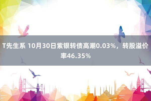 T先生系 10月30日紫银转债高潮0.03%，转股溢价率46.35%