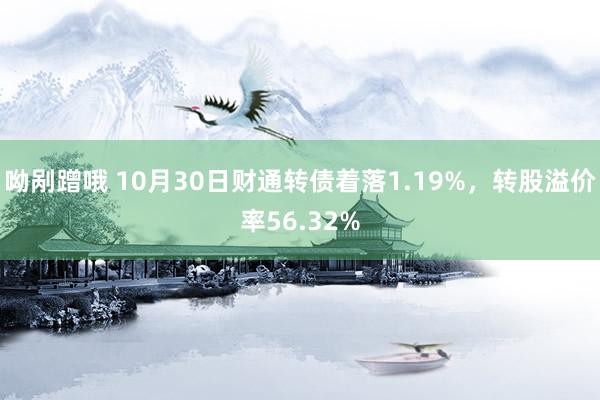 呦剐蹭哦 10月30日财通转债着落1.19%，转股溢价率56.32%