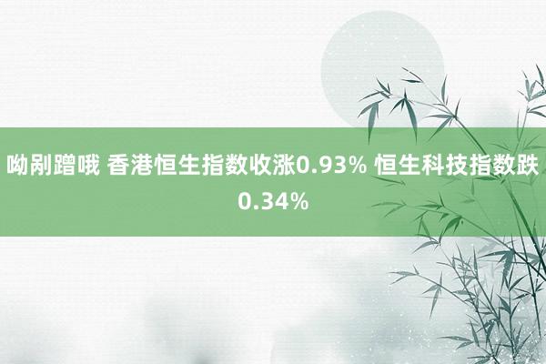 呦剐蹭哦 香港恒生指数收涨0.93% 恒生科技指数跌0.34%