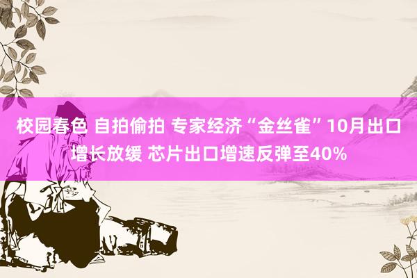 校园春色 自拍偷拍 专家经济“金丝雀”10月出口增长放缓 芯片出口增速反弹至40%