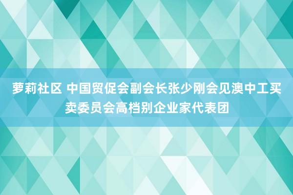 萝莉社区 中国贸促会副会长张少刚会见澳中工买卖委员会高档别企业家代表团